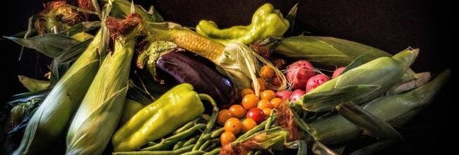 Organic Vegetables - Massachusetts (South of Boston)