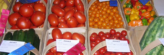 Massachusetts-grown Vegetables