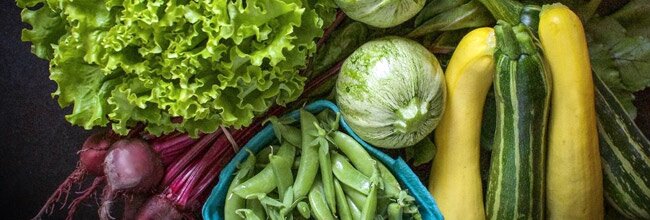 Organic Farm Shares - Massachusetts (South of Boston)