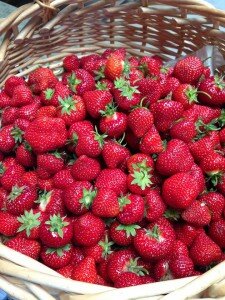 berries-1