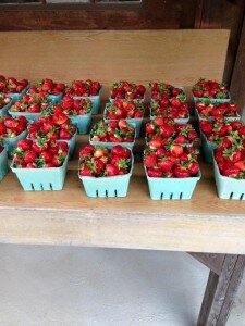 berries