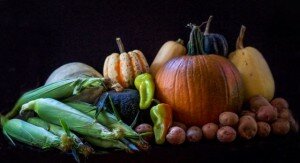 Farm Shares
