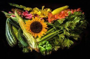 Farm Shares