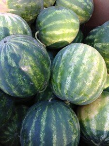 watermelons